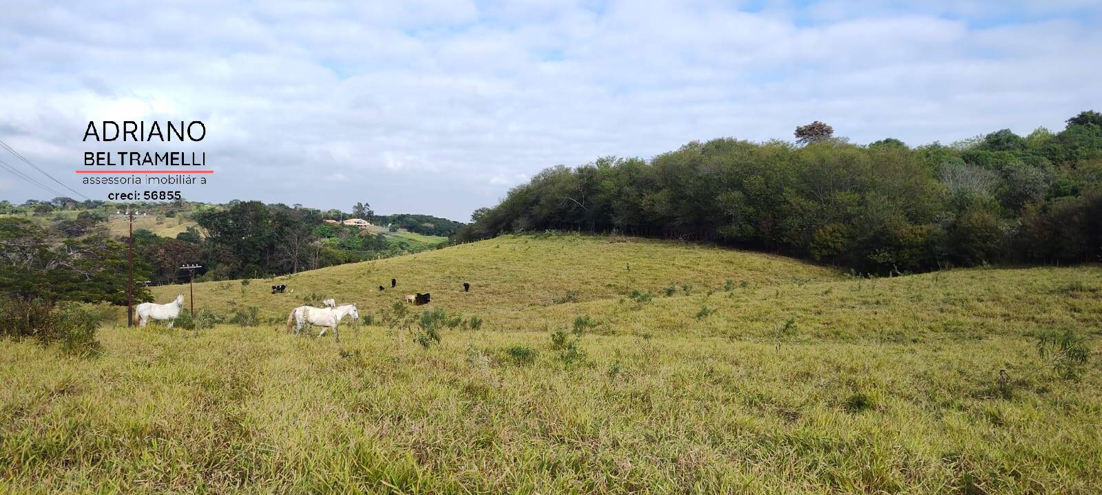 Terreno, 11 hectares - Foto 31