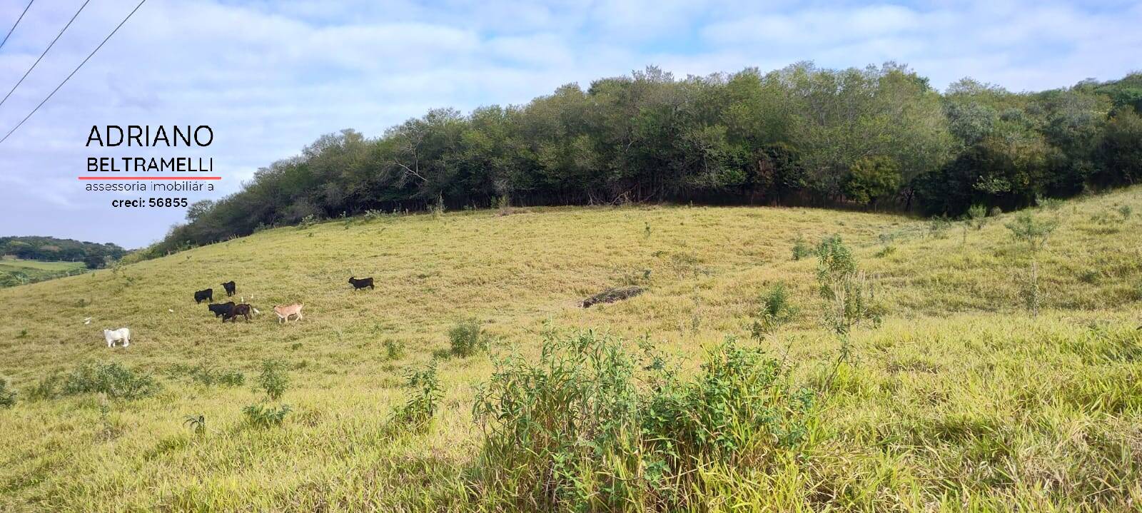 Terreno, 11 hectares - Foto 36