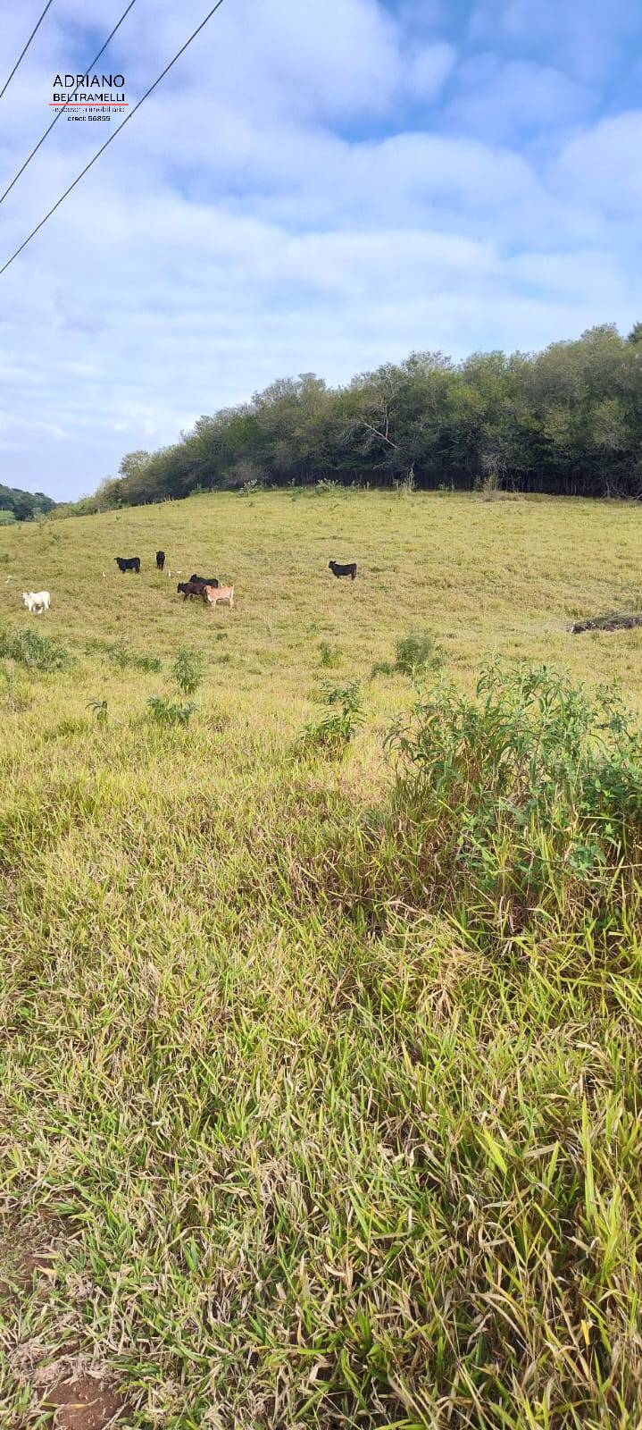 Terreno, 11 hectares - Foto 35