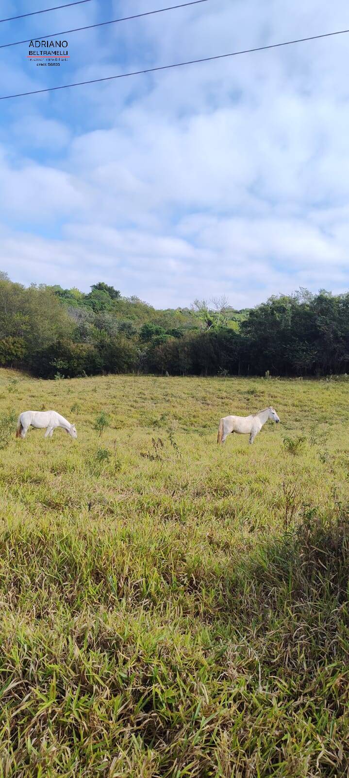 Terreno, 11 hectares - Foto 34