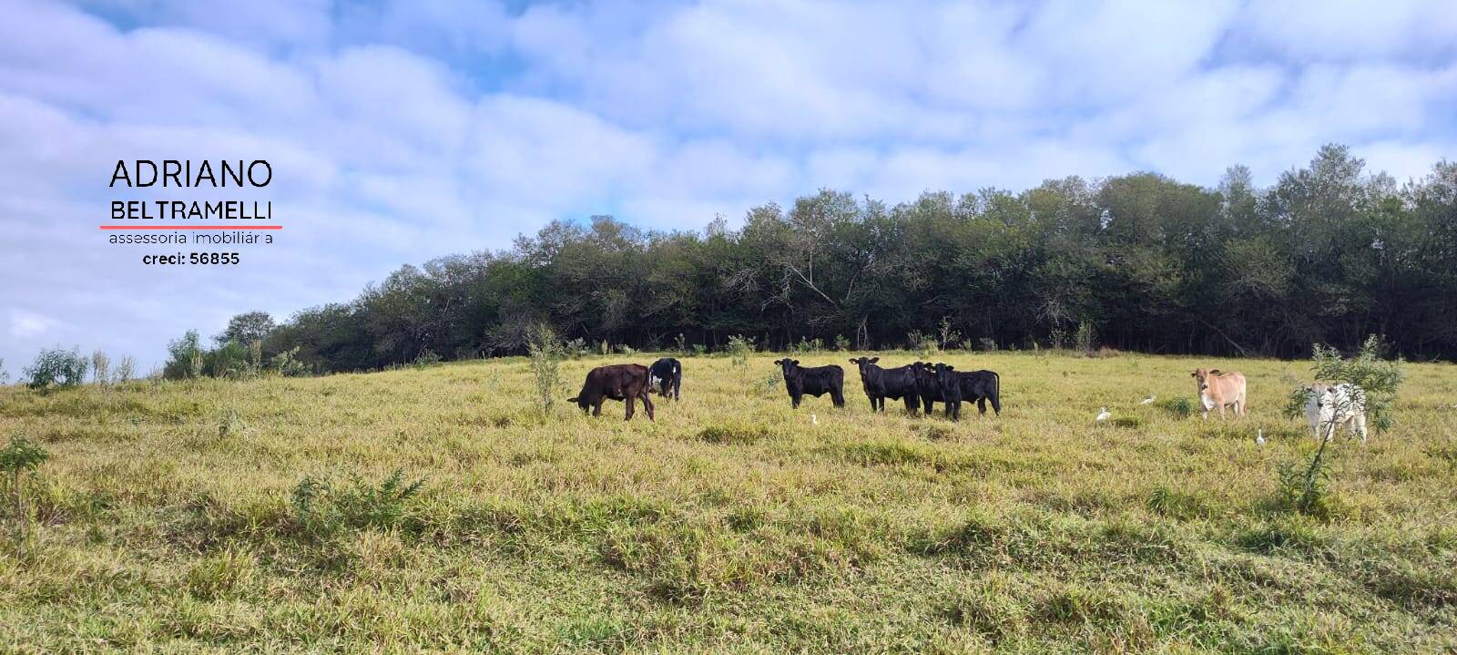 Terreno, 11 hectares - Foto 38