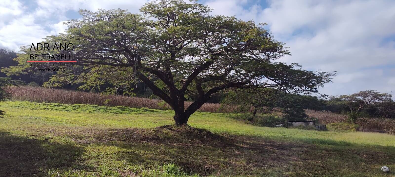 Terreno, 11 hectares - Foto 41