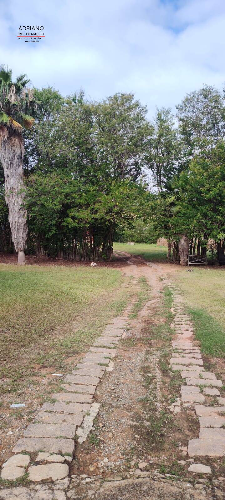 Terreno, 11 hectares - Foto 44