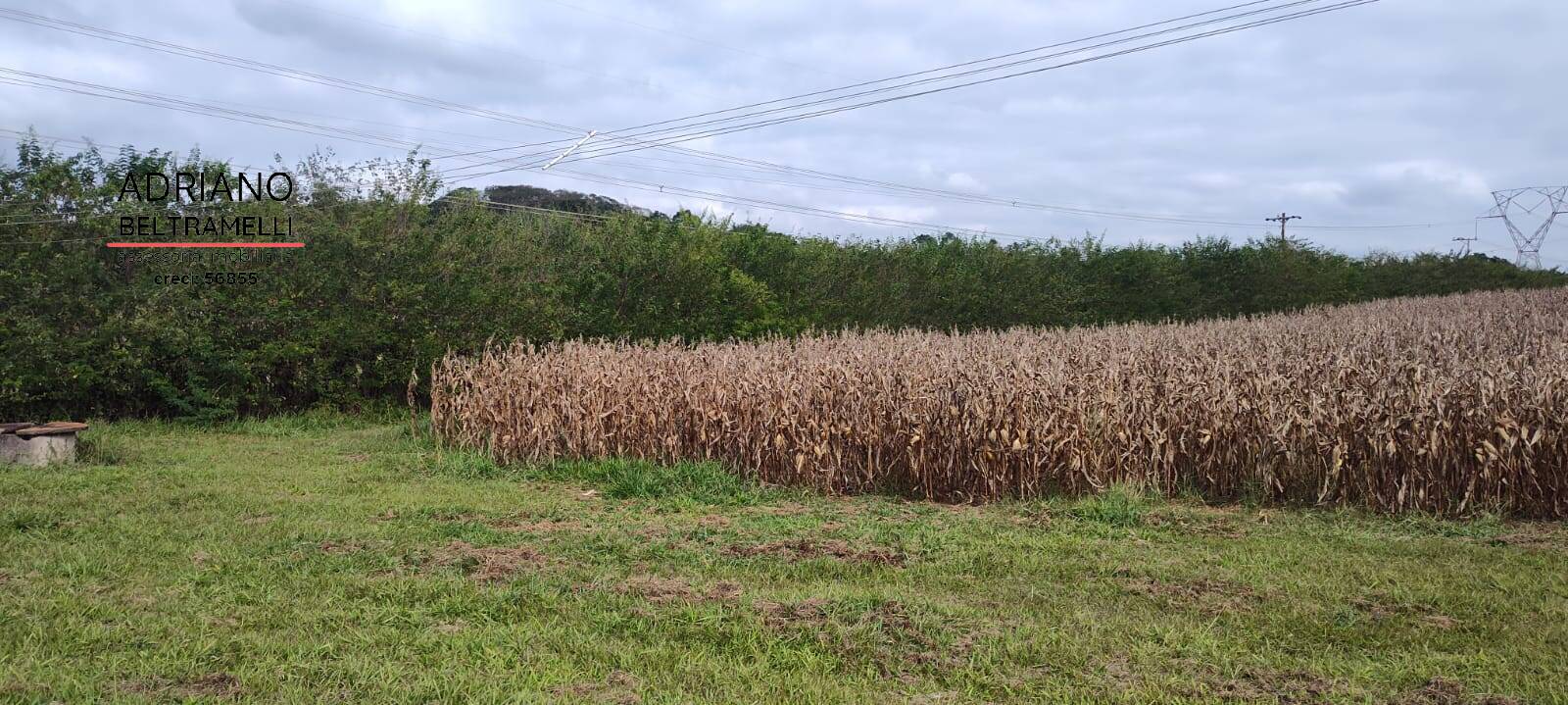 Terreno, 11 hectares - Foto 48