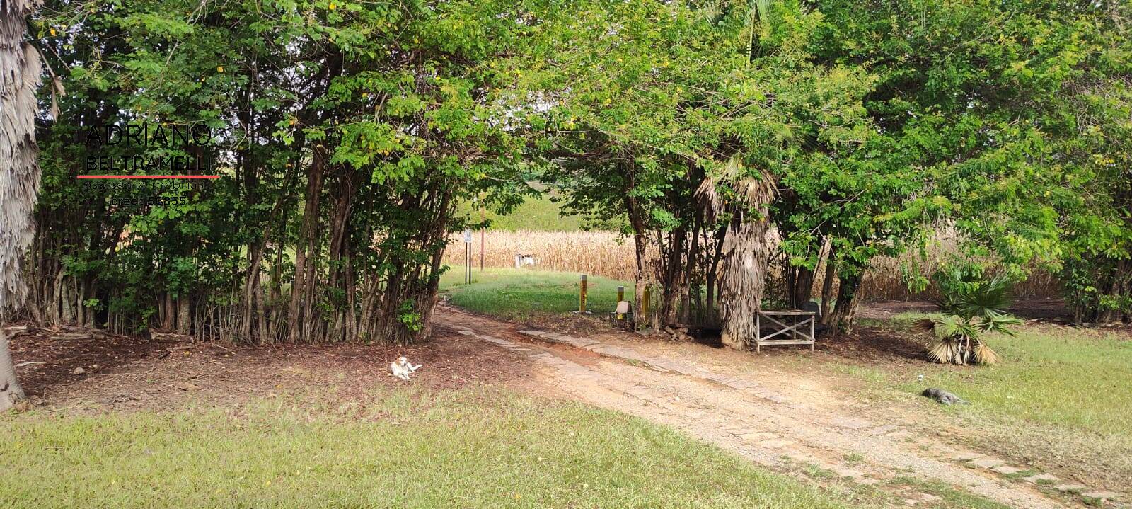 Terreno, 11 hectares - Foto 45