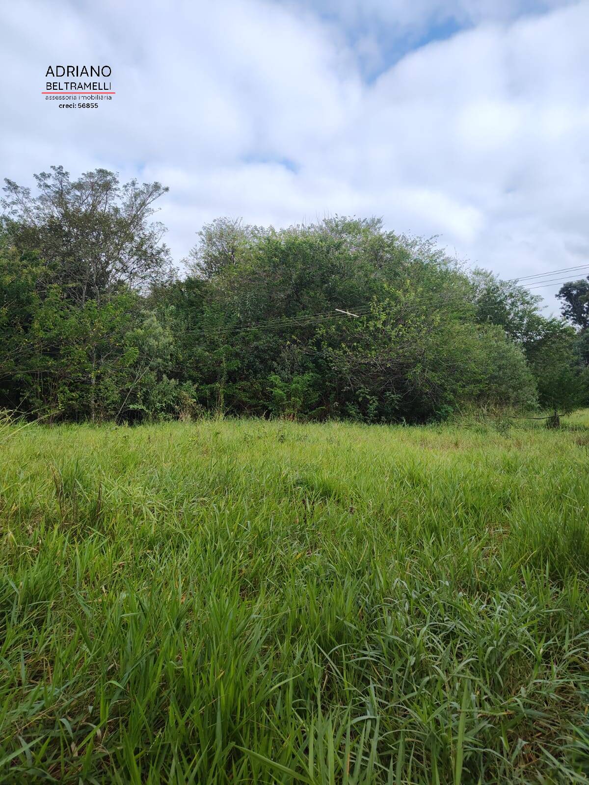 Terreno, 11 hectares - Foto 49