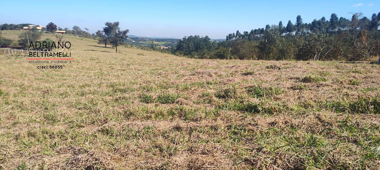 Terreno, 2 hectares - Foto 5