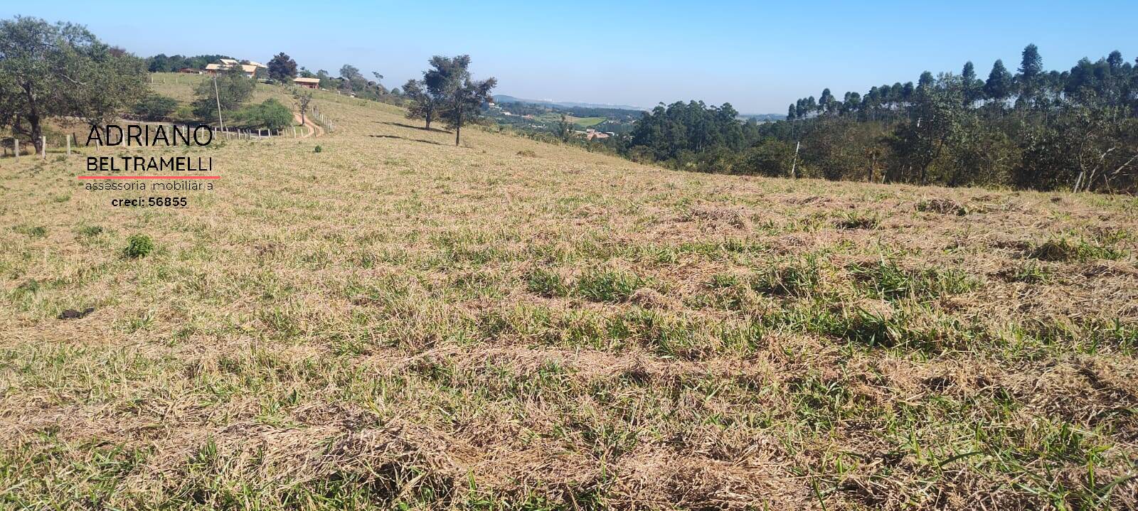 Terreno, 2 hectares - Foto 10