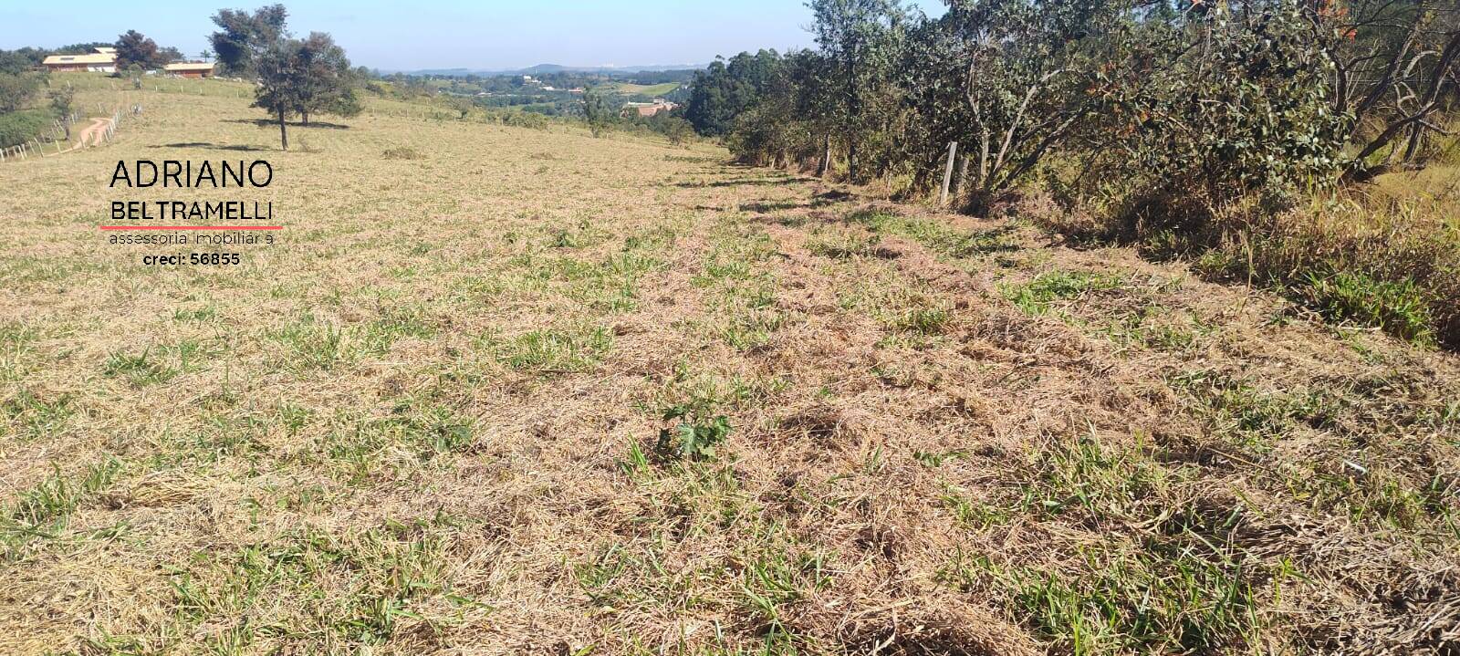 Terreno, 2 hectares - Foto 13