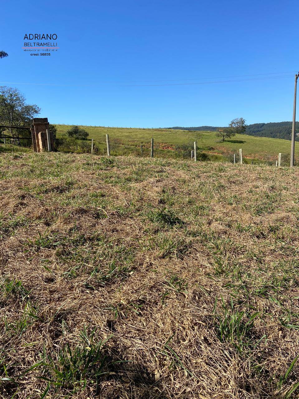 Terreno, 2 hectares - Foto 19