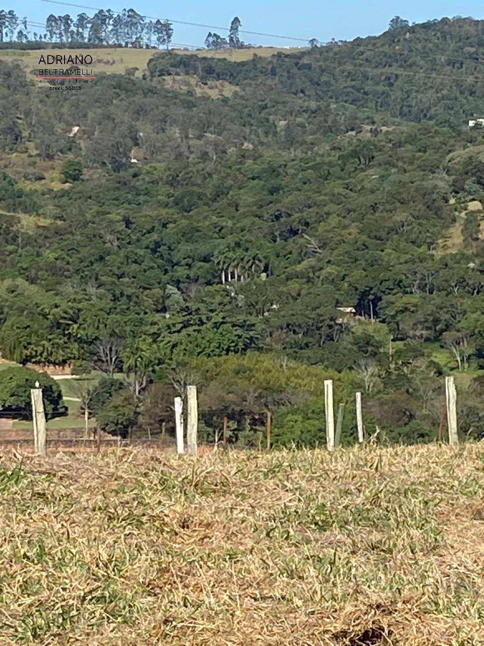 Terreno, 2 hectares - Foto 7