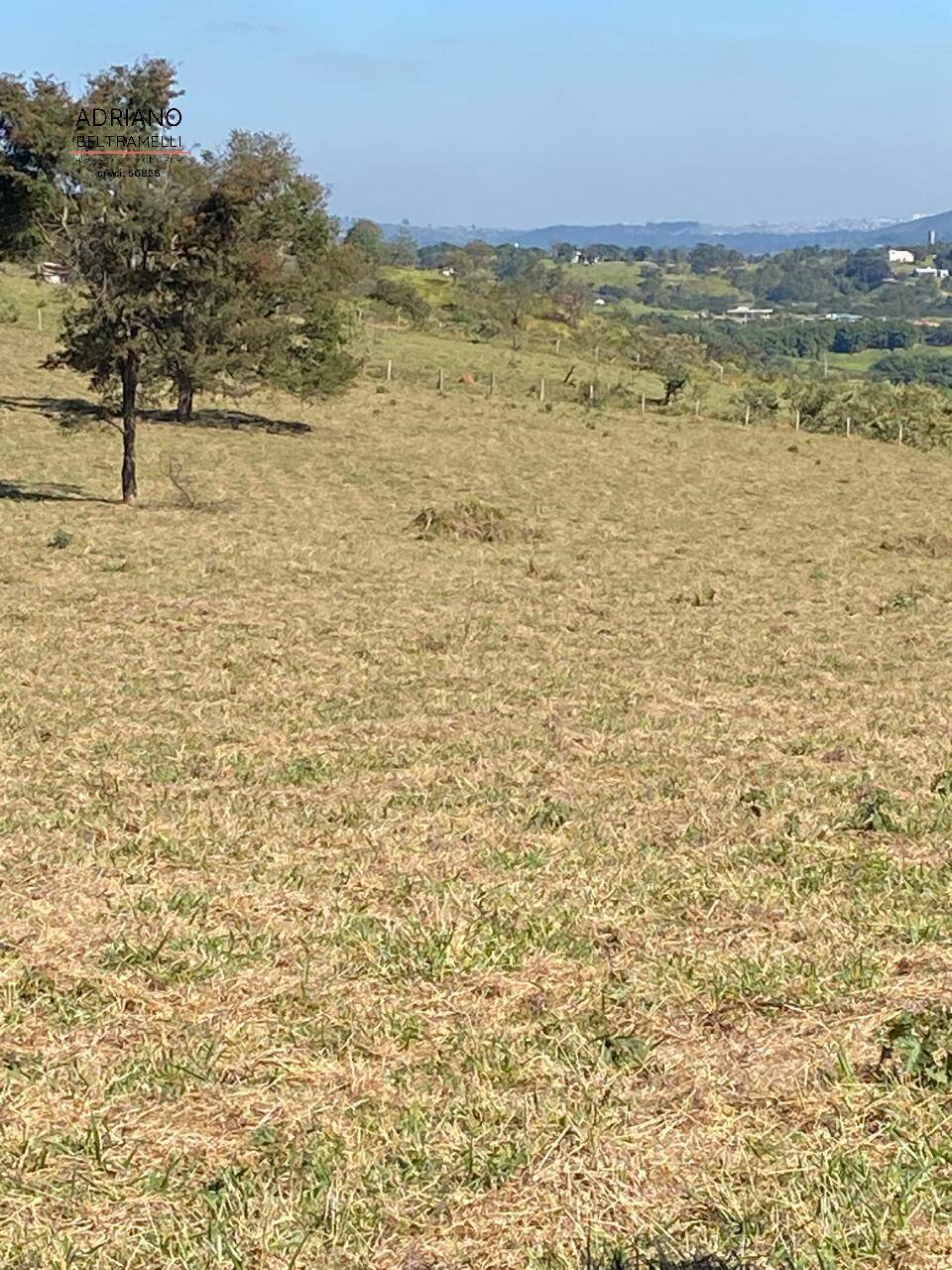 Terreno, 2 hectares - Foto 25