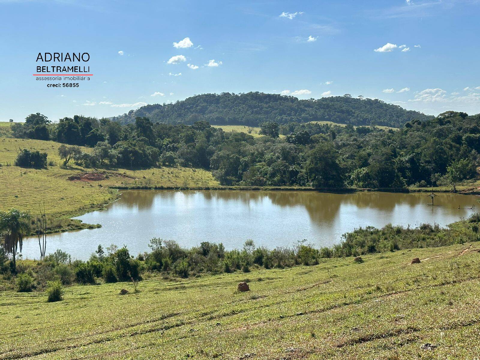 Terreno, 2 hectares - Foto 6