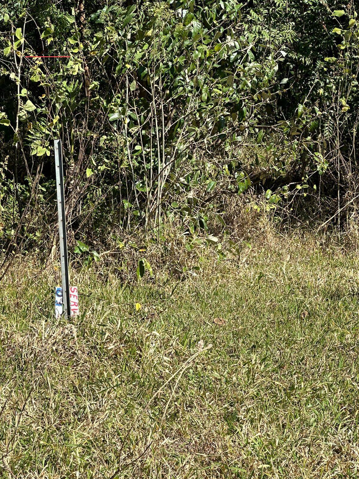 Terreno, 2 hectares - Foto 8