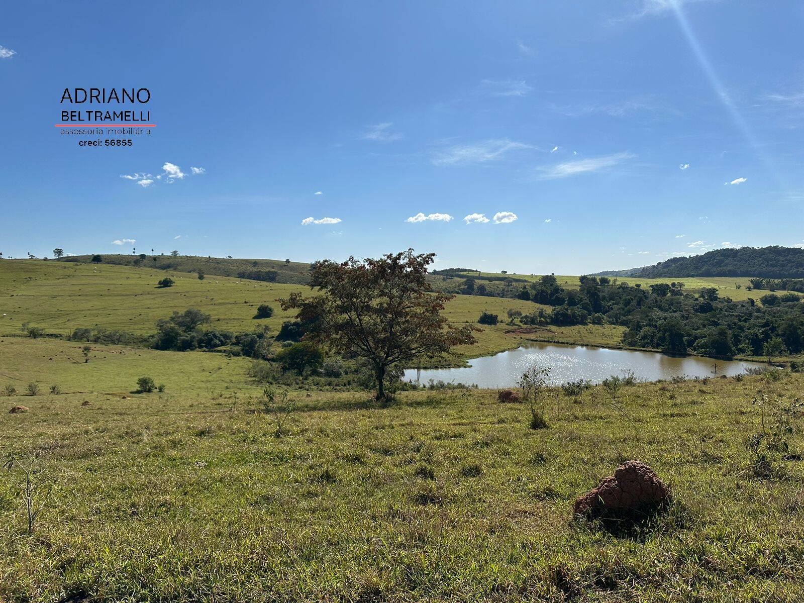 Terreno, 2 hectares - Foto 2