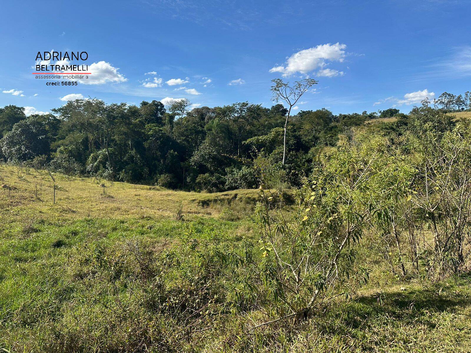 Terreno, 2 hectares - Foto 7