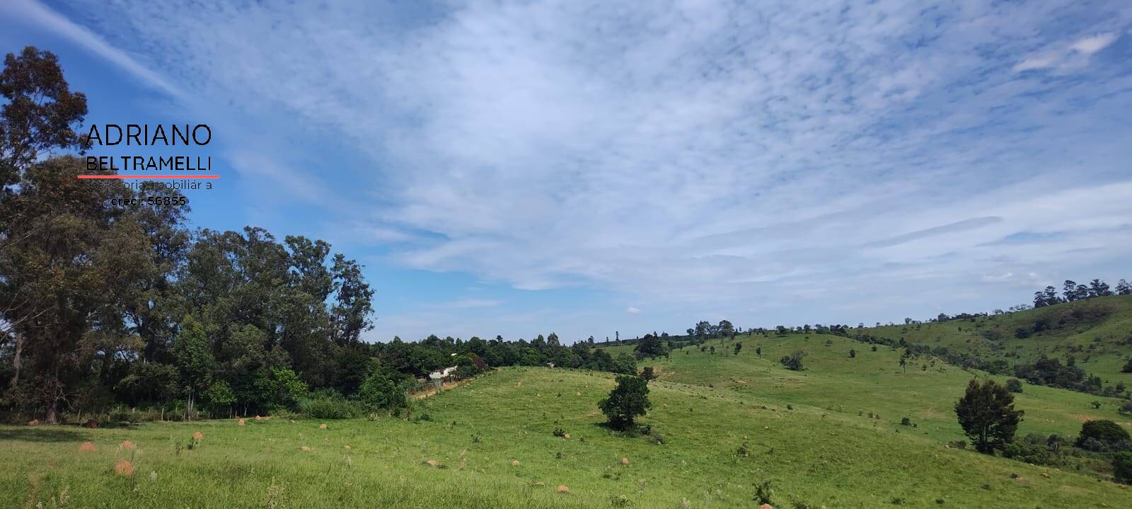 Terreno, 2 hectares - Foto 9