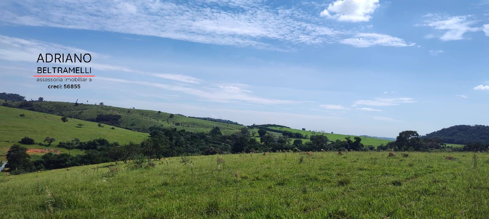 Terreno, 2 hectares - Foto 10