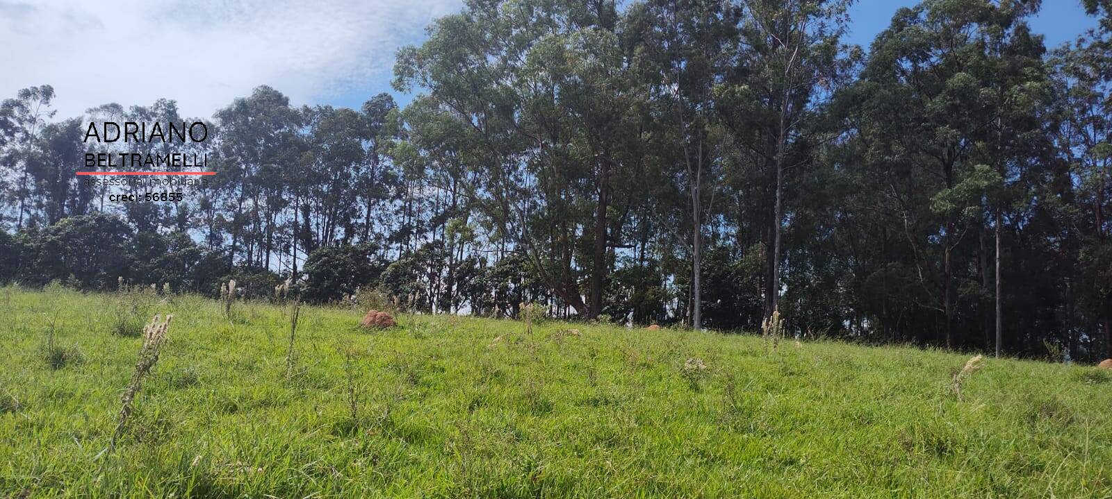 Terreno, 2 hectares - Foto 12