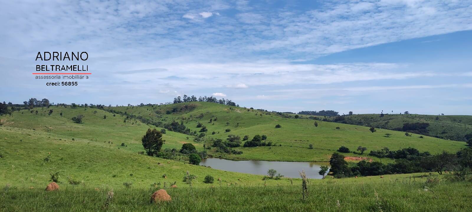 Terreno, 2 hectares - Foto 11