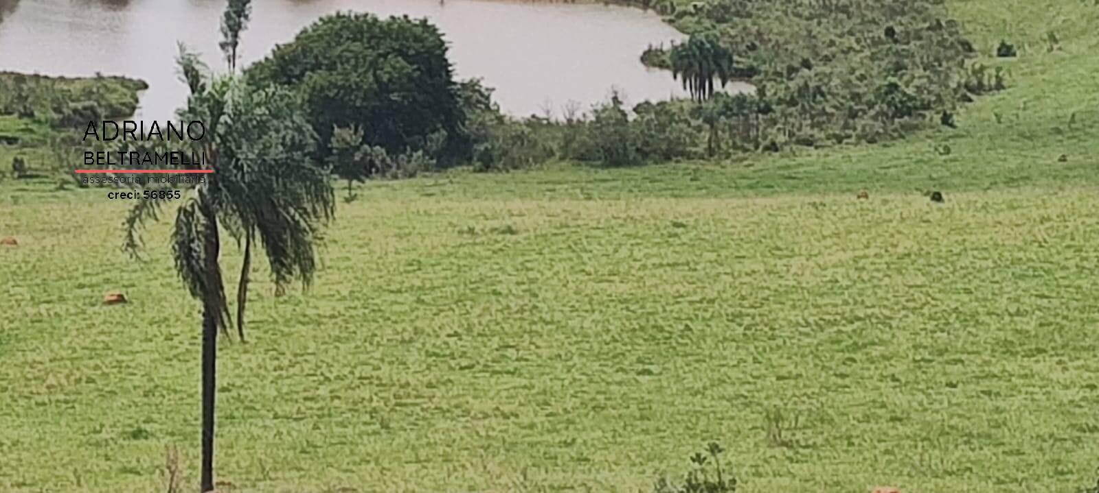 Terreno, 2 hectares - Foto 16