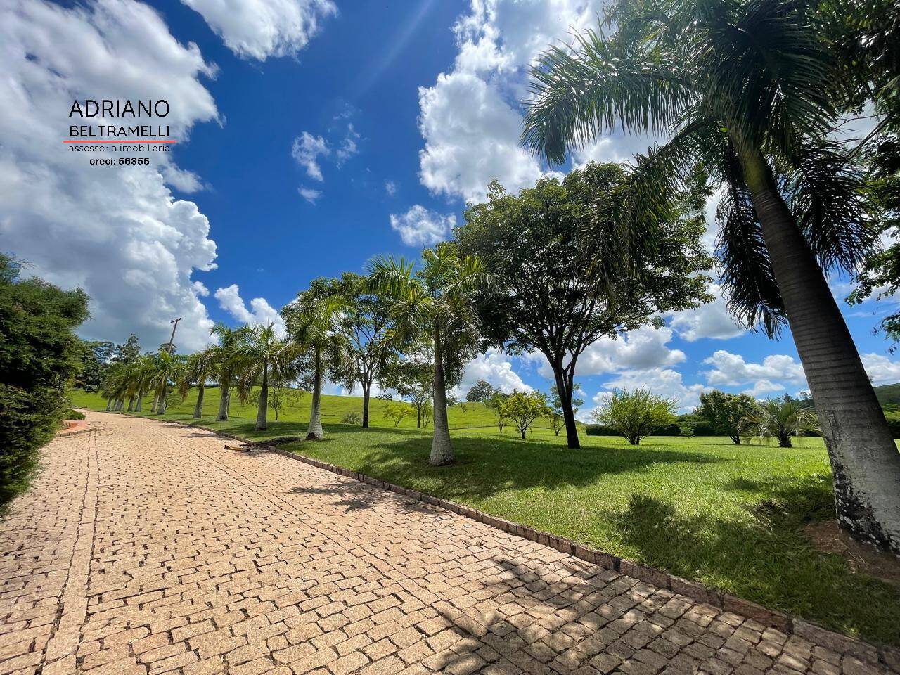 Fazenda, 171 m² - Foto 5