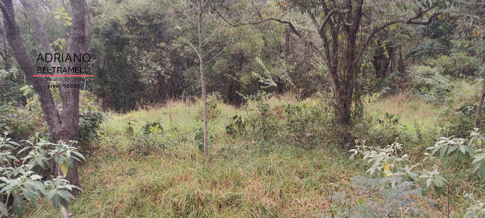 Terreno, 2500 m² - Foto 4