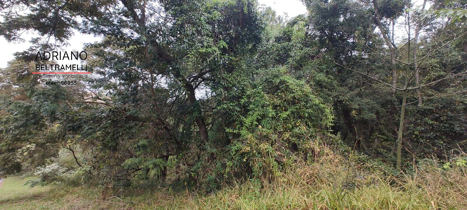 Terreno, 2500 m² - Foto 6