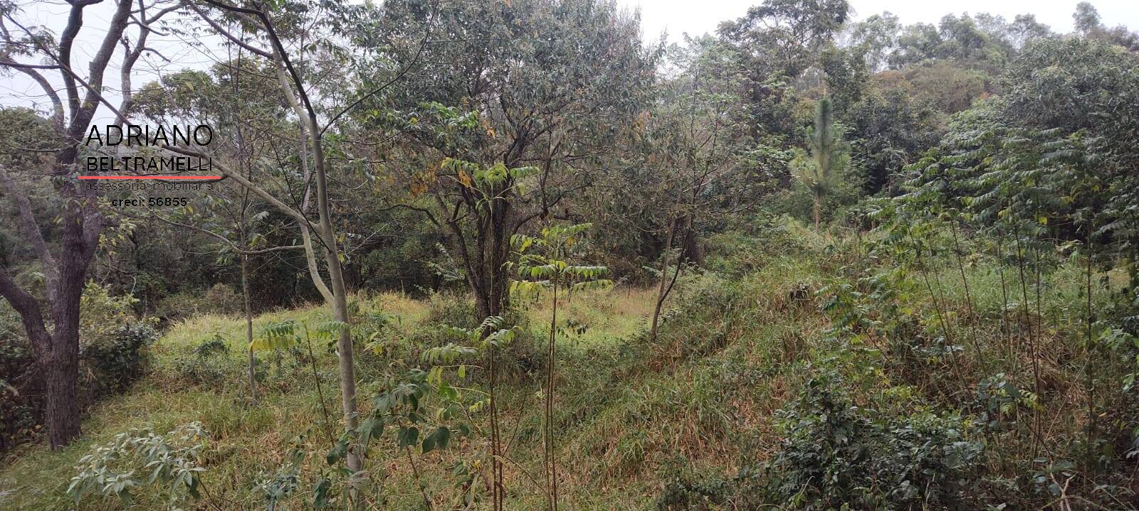 Terreno, 2500 m² - Foto 8