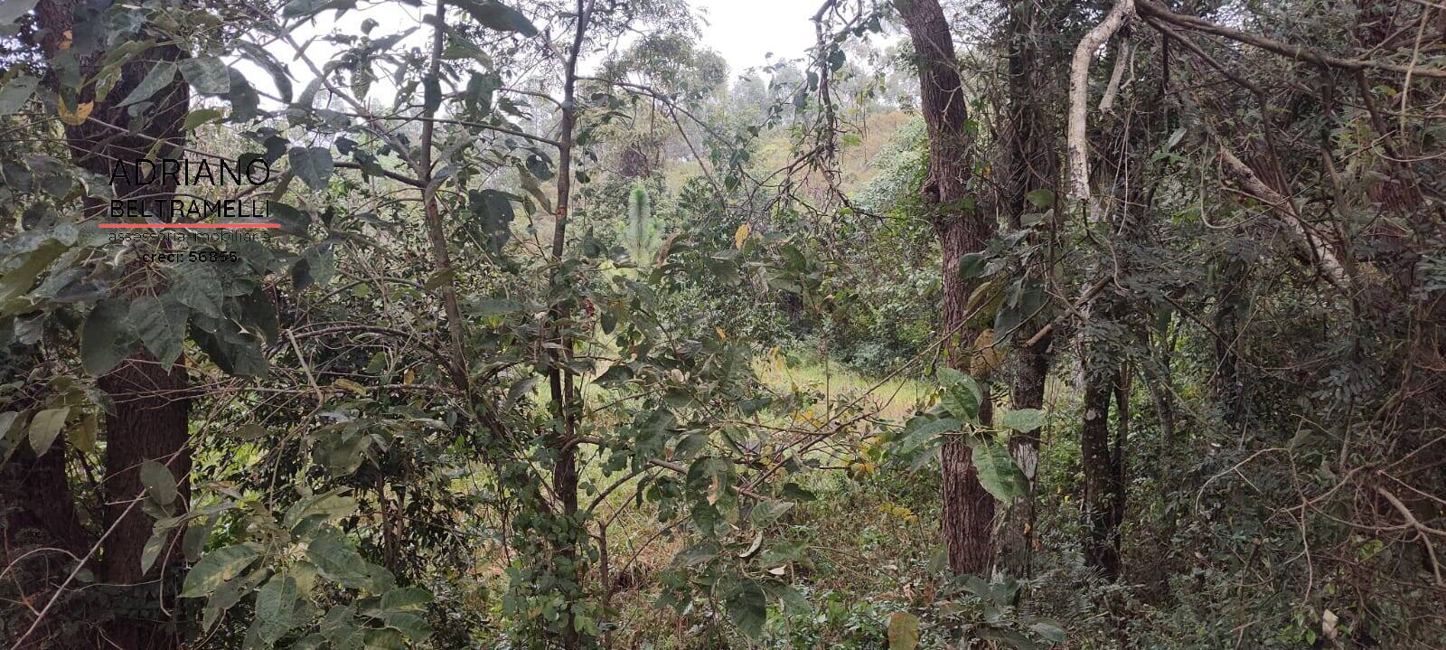 Terreno, 2500 m² - Foto 7