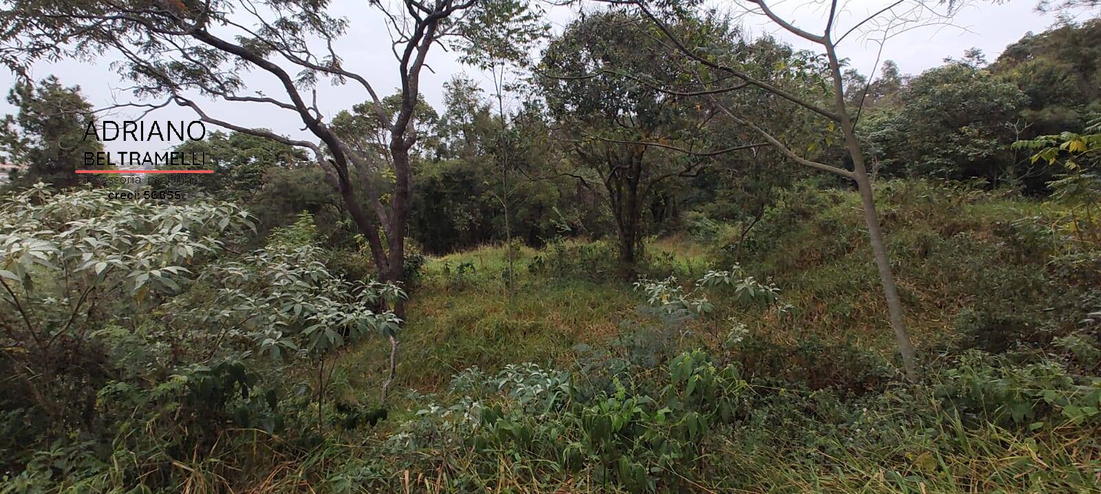 Terreno, 2500 m² - Foto 9