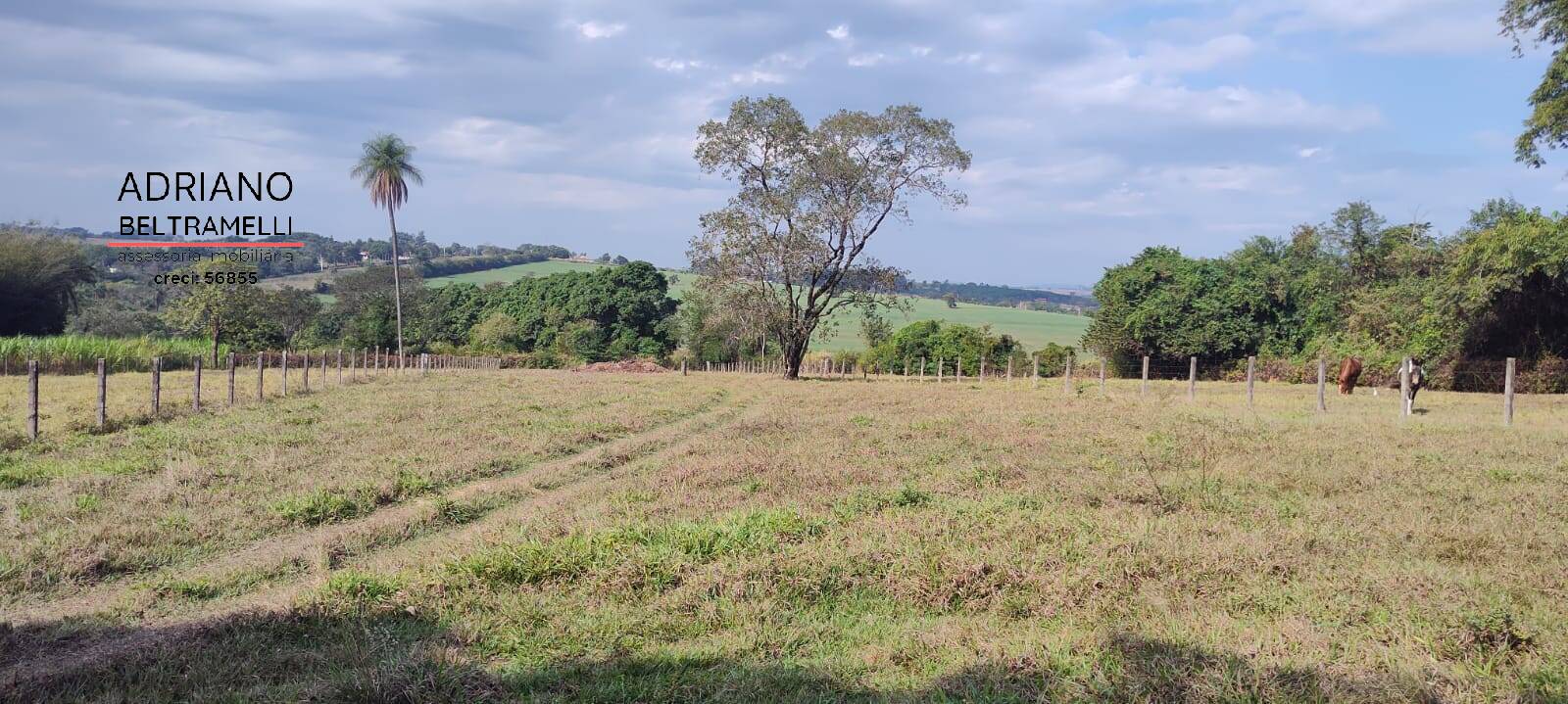 Sítio, 6 quartos, 4 hectares - Foto 5