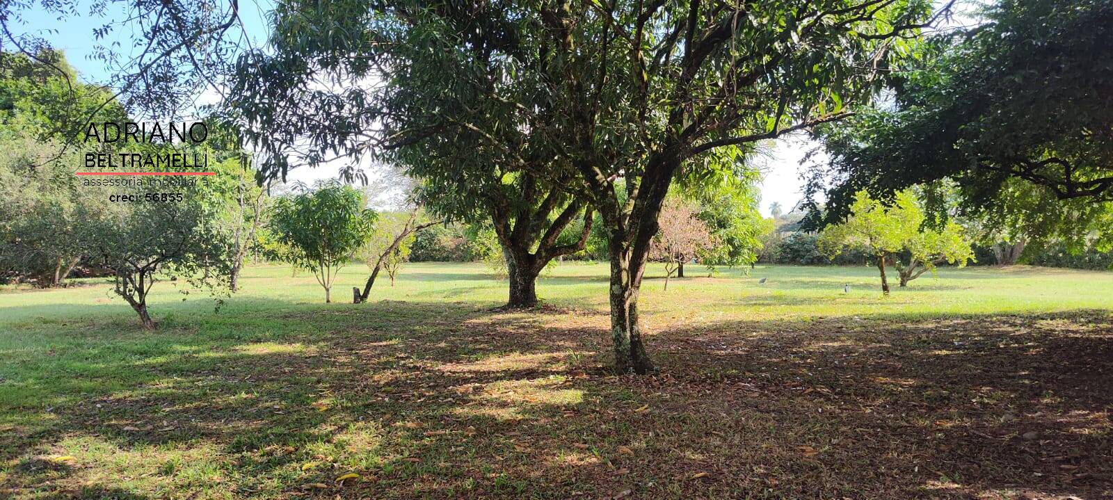 Sítio, 6 quartos, 4 hectares - Foto 6