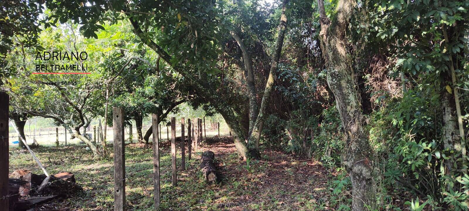 Sítio, 6 quartos, 4 hectares - Foto 8