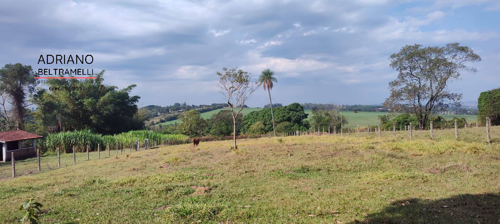 Sítio, 6 quartos, 4 hectares - Foto 7