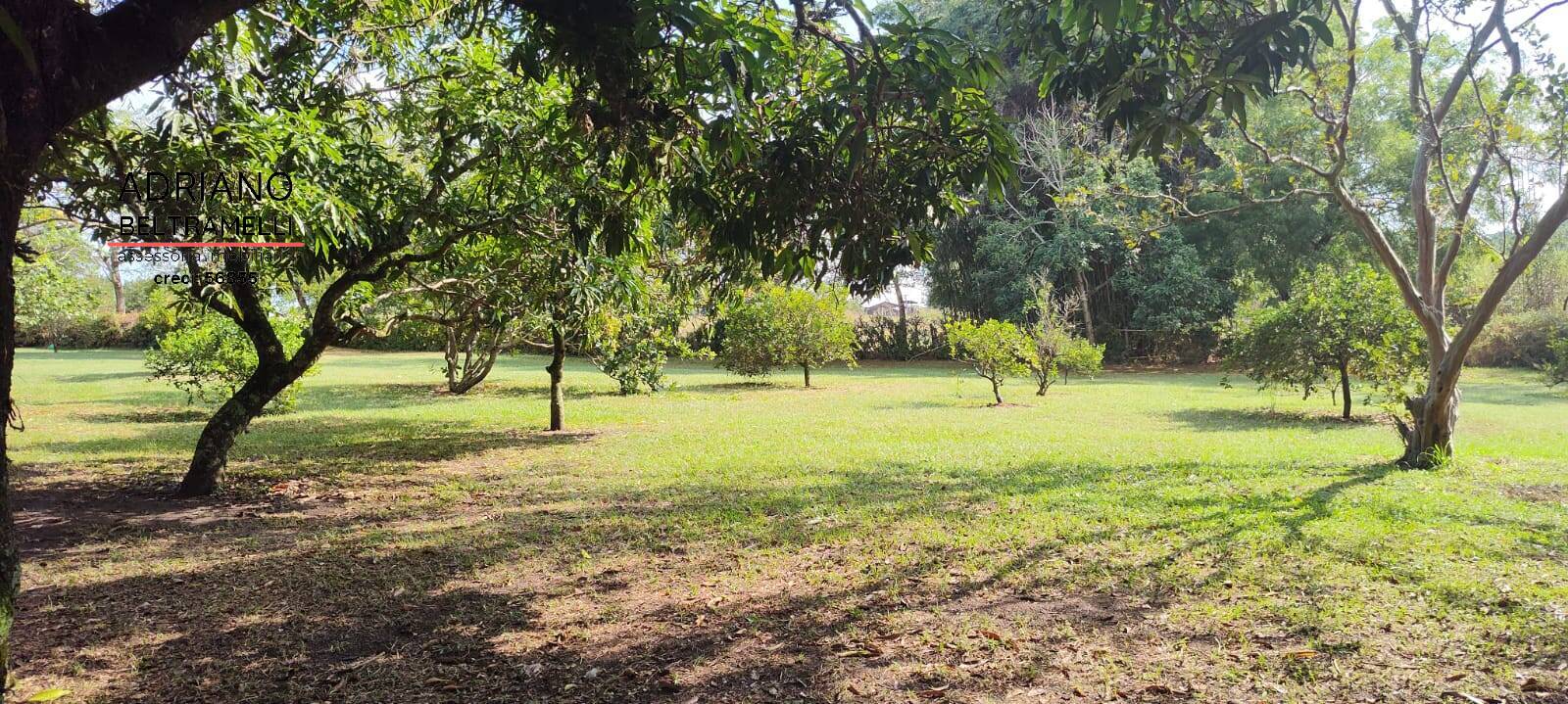 Sítio, 6 quartos, 4 hectares - Foto 9