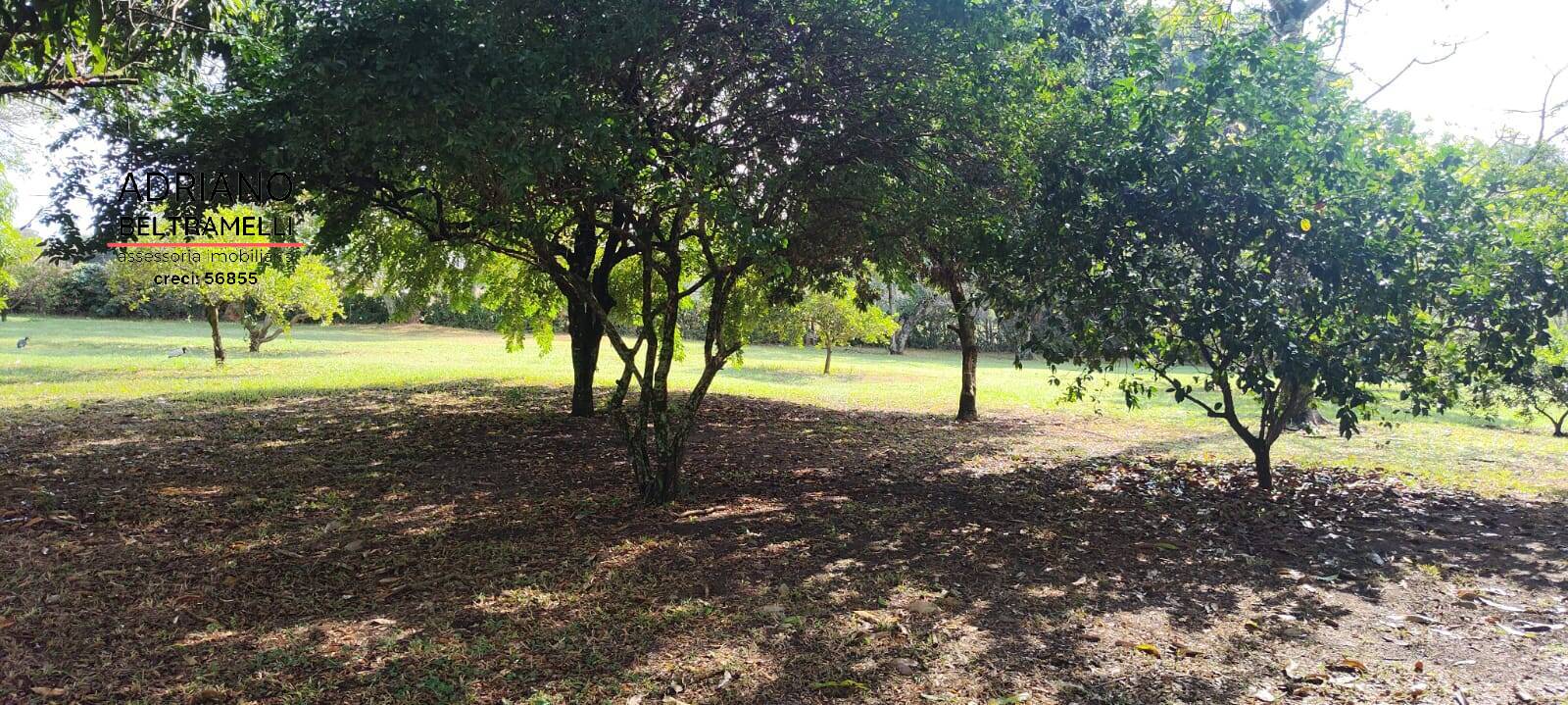 Sítio, 6 quartos, 4 hectares - Foto 13