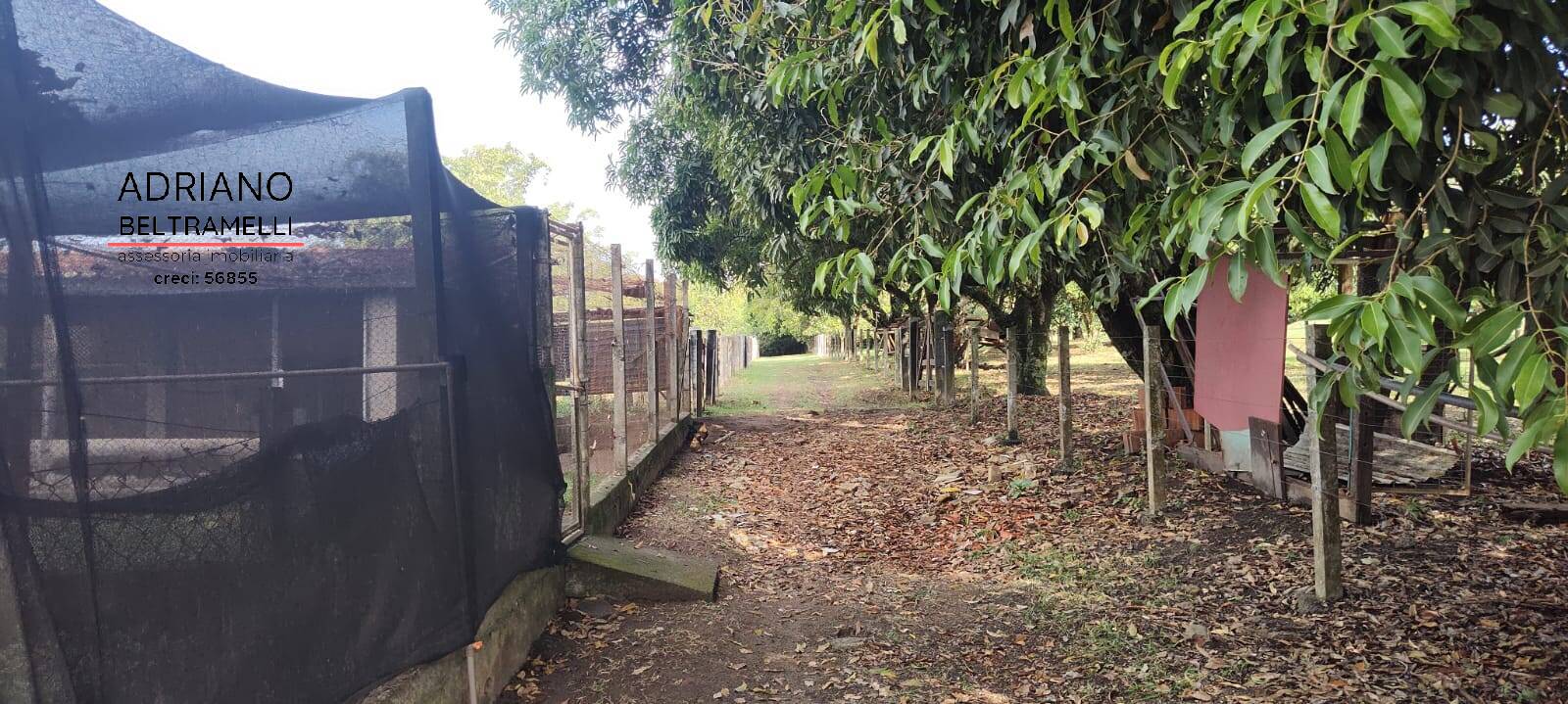 Sítio, 6 quartos, 4 hectares - Foto 19