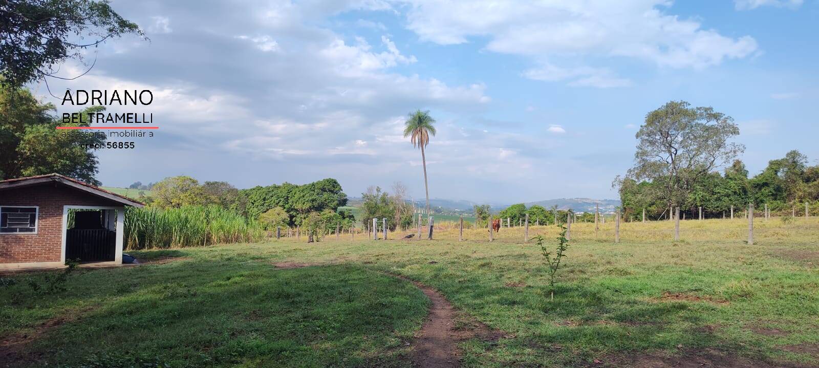 Sítio, 6 quartos, 4 hectares - Foto 4