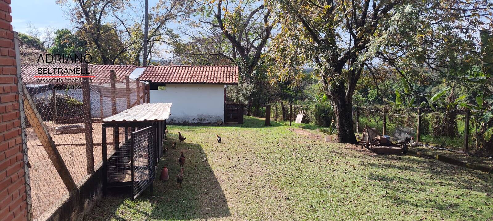 Sítio, 6 quartos, 4 hectares - Foto 38