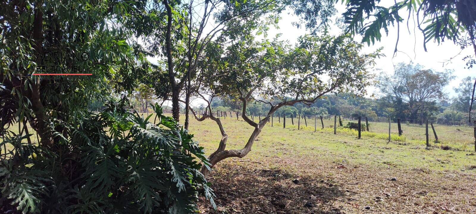 Sítio, 6 quartos, 4 hectares - Foto 39