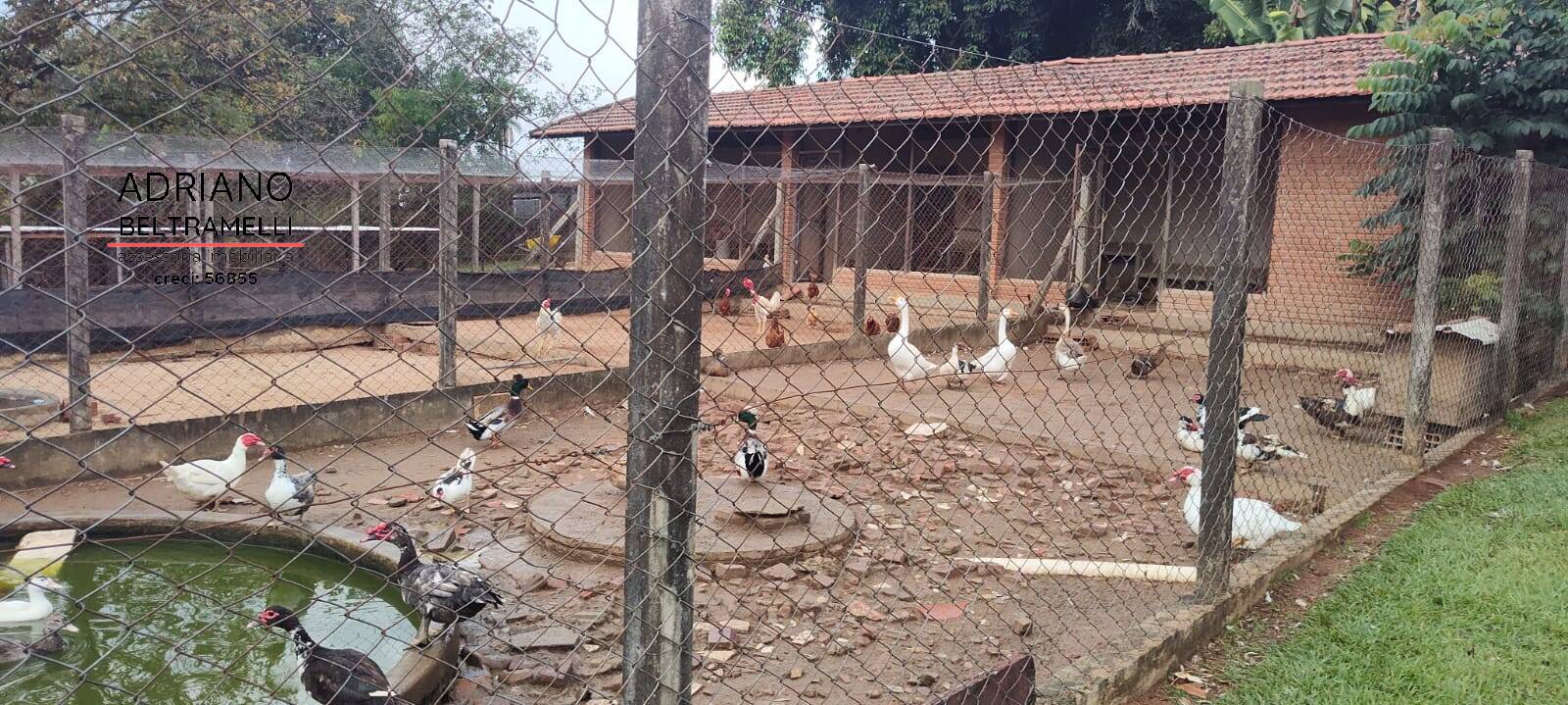 Sítio, 6 quartos, 4 hectares - Foto 41