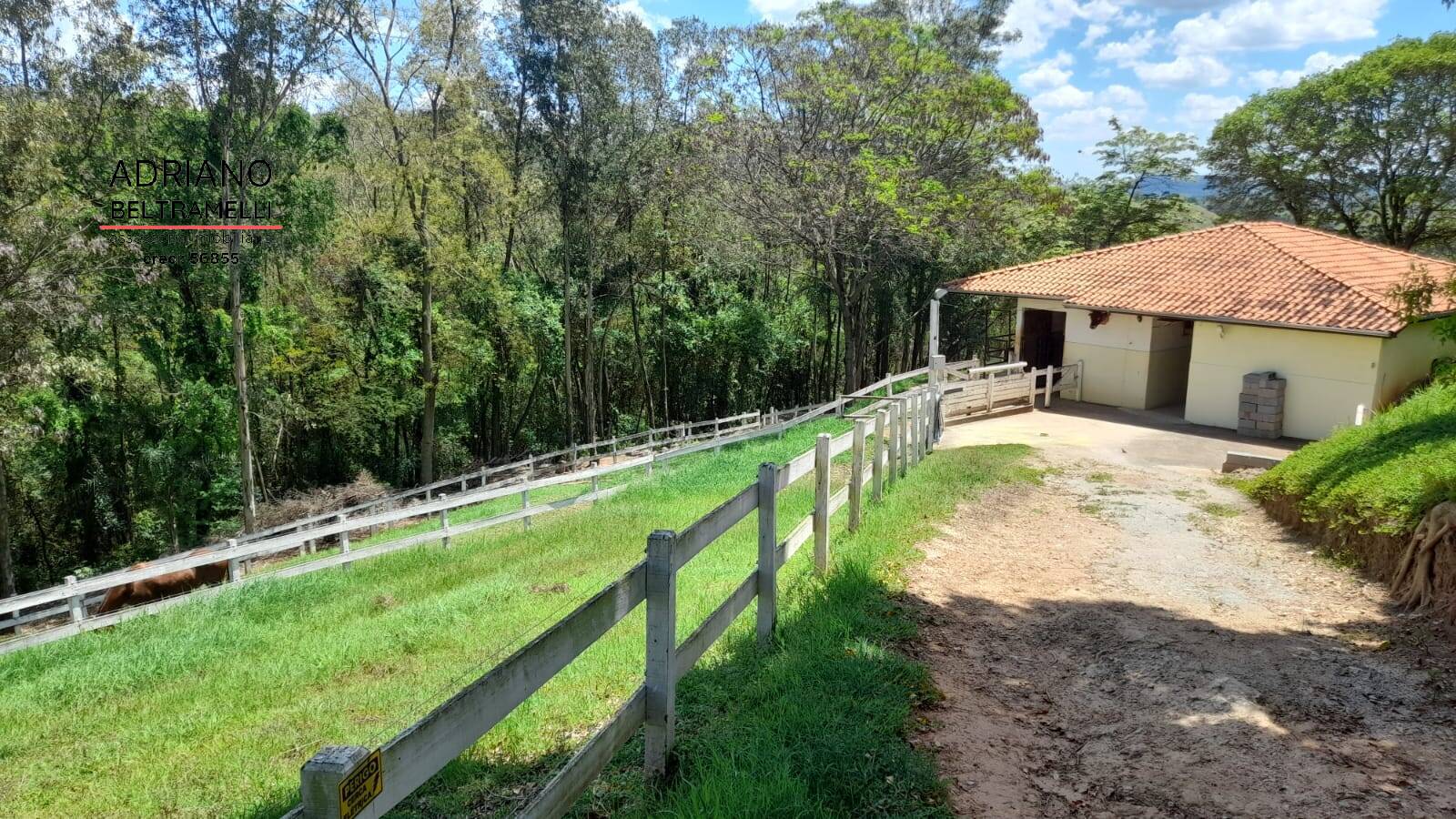 Sítio, 3 quartos, 3 hectares - Foto 11