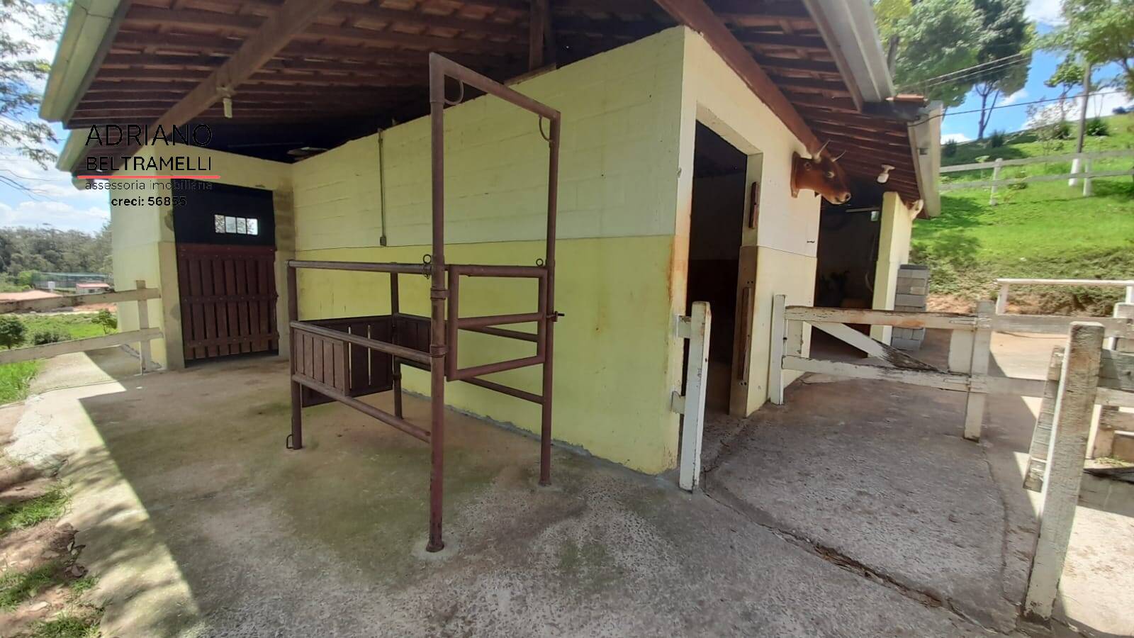 Sítio, 3 quartos, 3 hectares - Foto 12