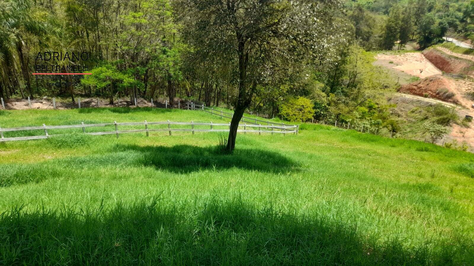 Sítio, 3 quartos, 3 hectares - Foto 17