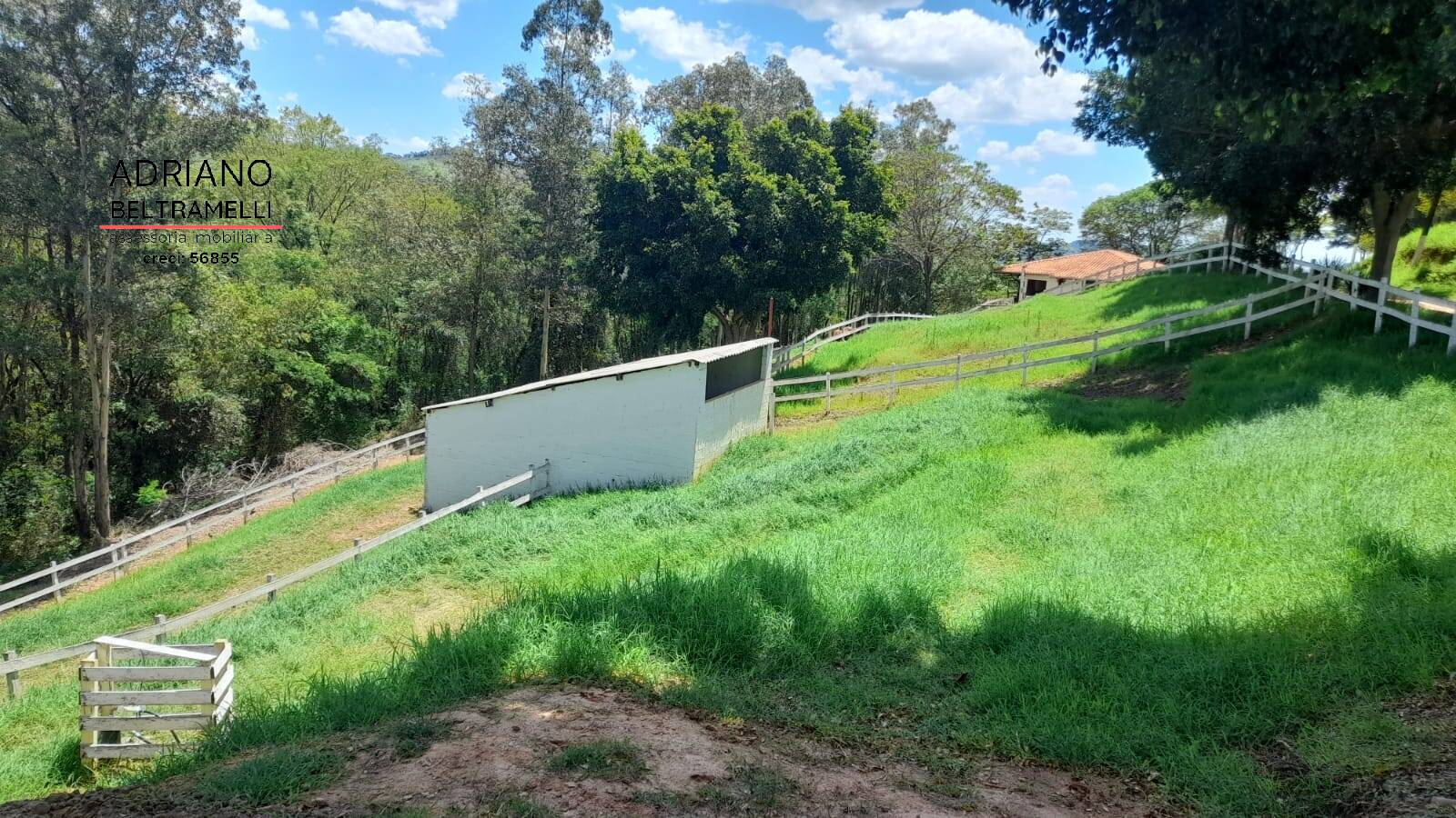 Sítio, 3 quartos, 3 hectares - Foto 19