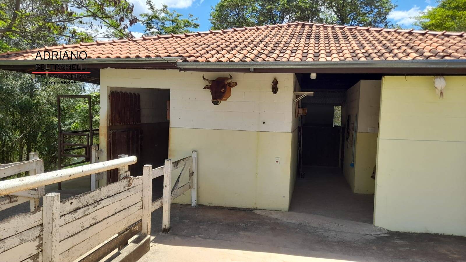 Sítio, 3 quartos, 3 hectares - Foto 18