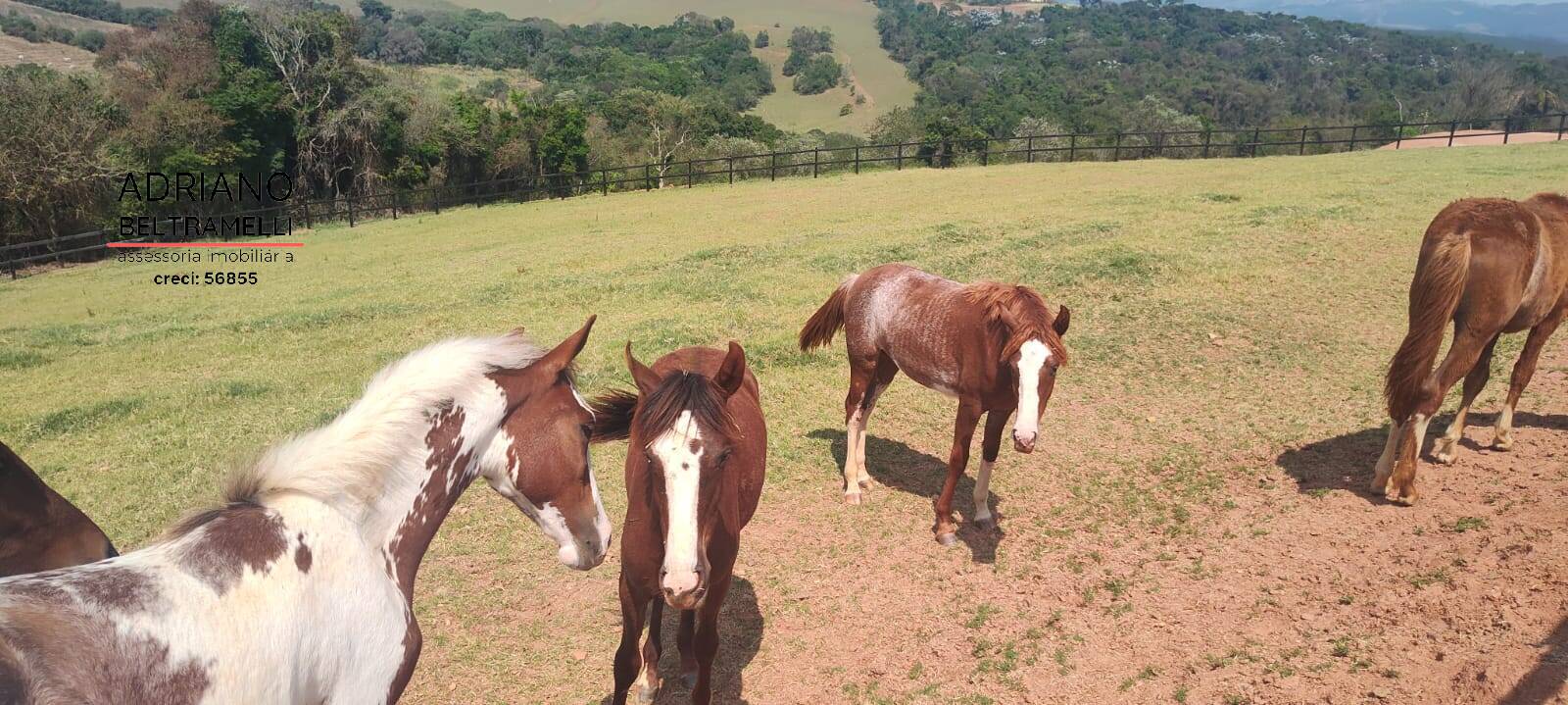 Fazenda à venda com 5 quartos, 200000m² - Foto 36
