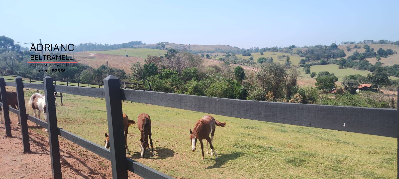 Fazenda à venda com 5 quartos, 200000m² - Foto 37