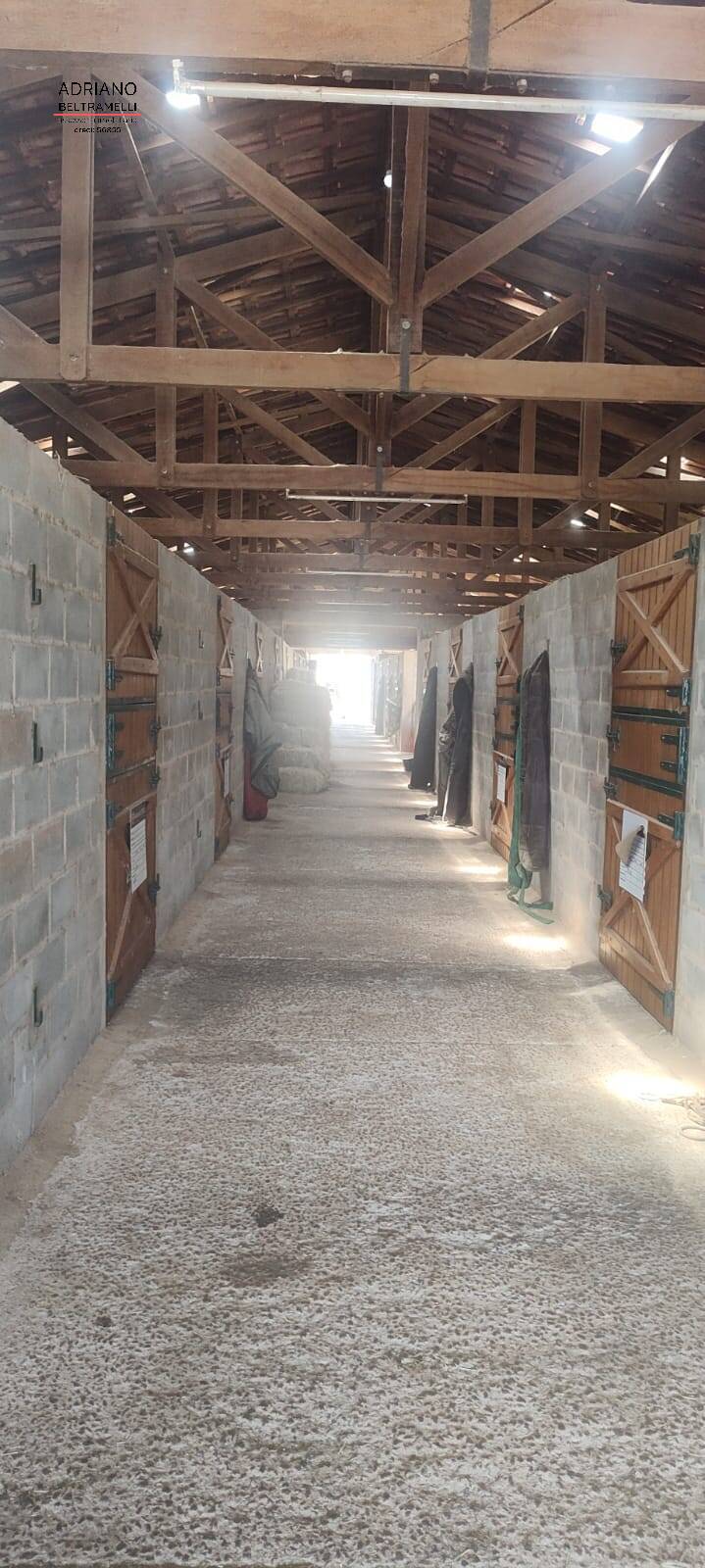 Fazenda à venda com 5 quartos, 200000m² - Foto 45